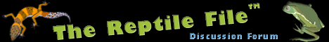 The Reptile File Forum