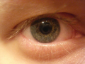 snake_eyes's Avatar