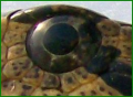 Stone's Avatar