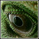 AHStanford's Avatar