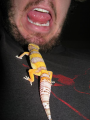 Elderlandwurm's Avatar