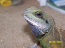 blueyes19's Avatar